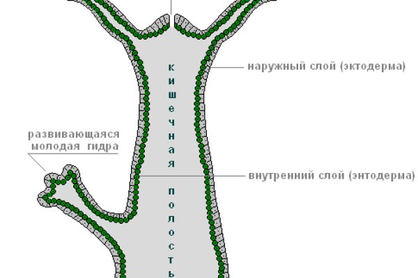 Kraken маркетплейс как зайти